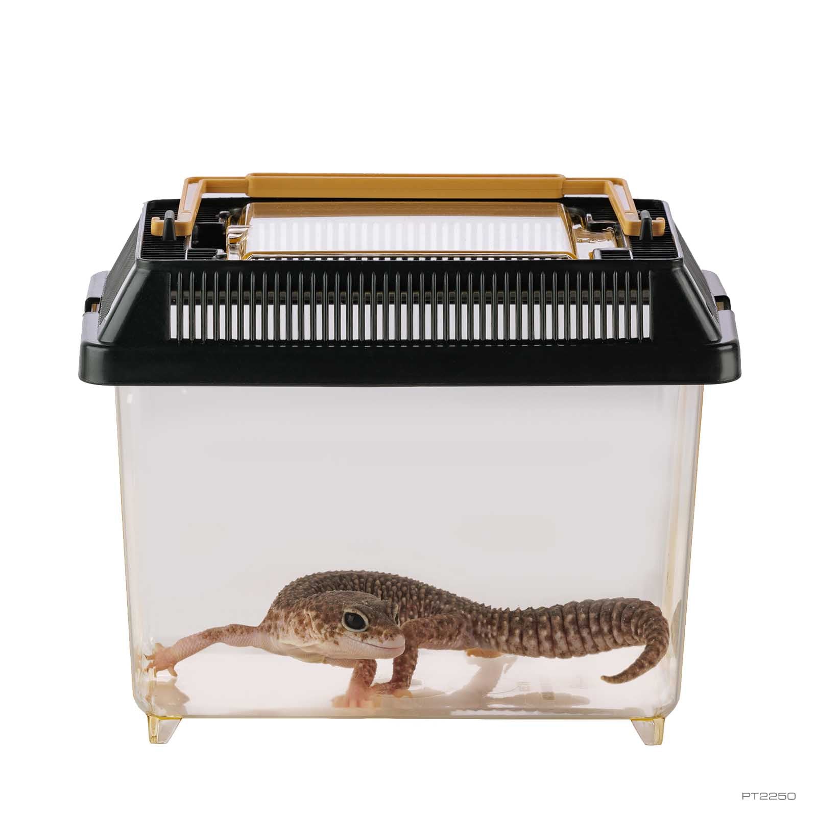 Exo Terra España - Tienda oficial