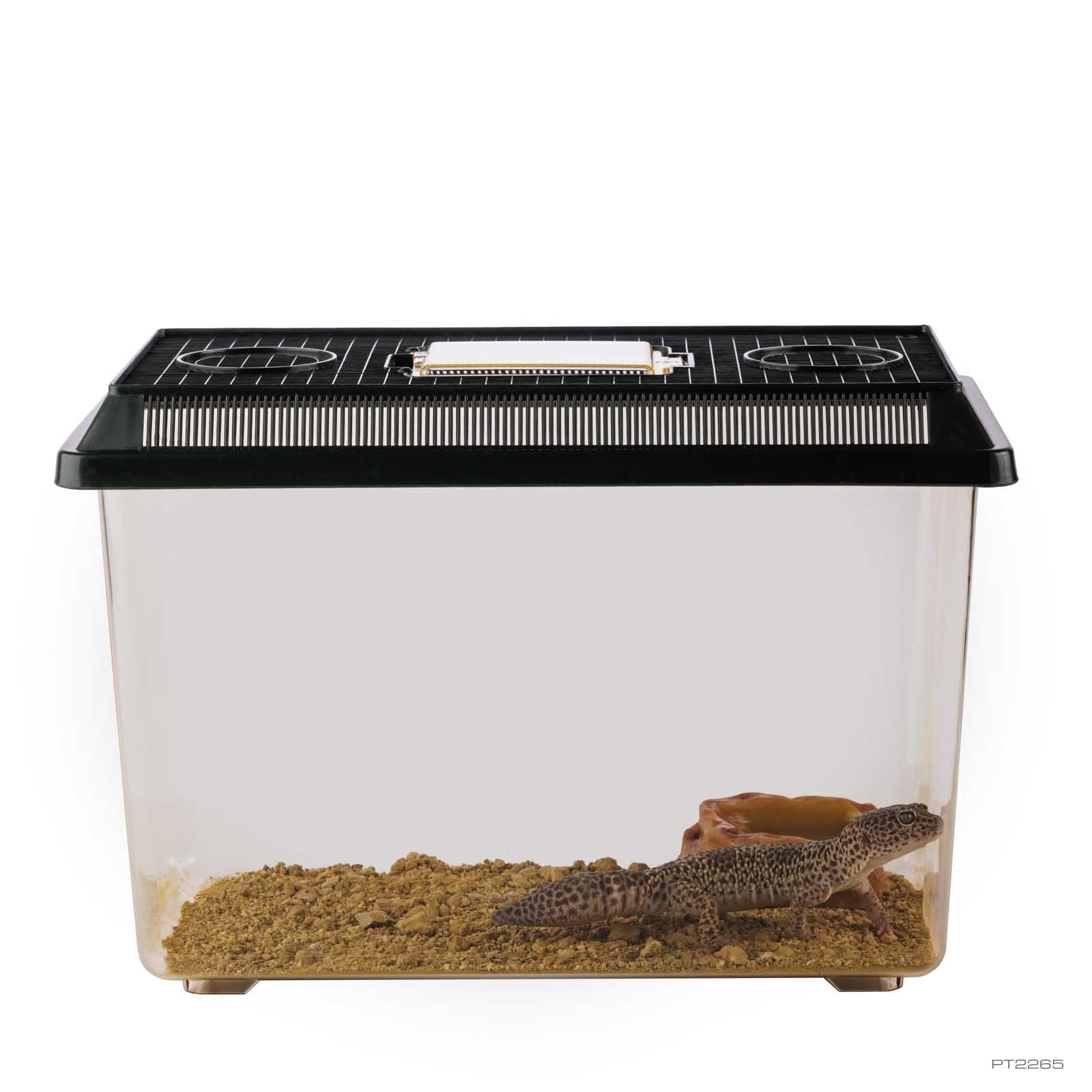 Exo Terra España - Tienda oficial